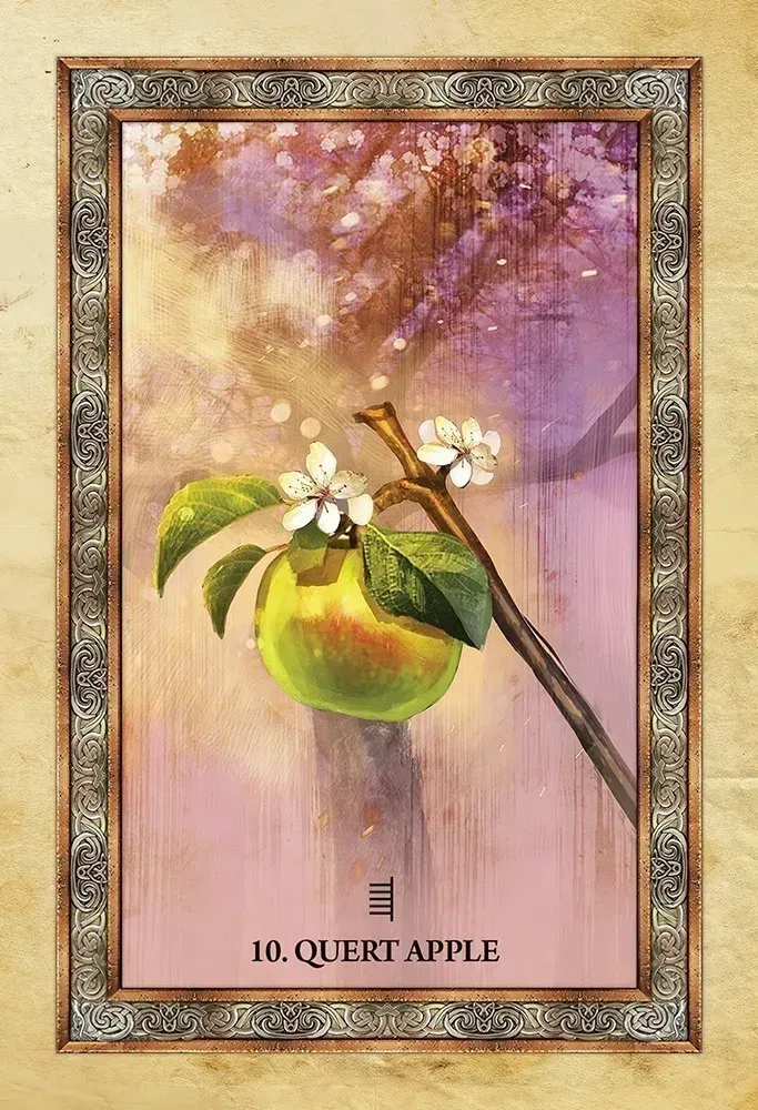 Celtic Tree Oracle Cards